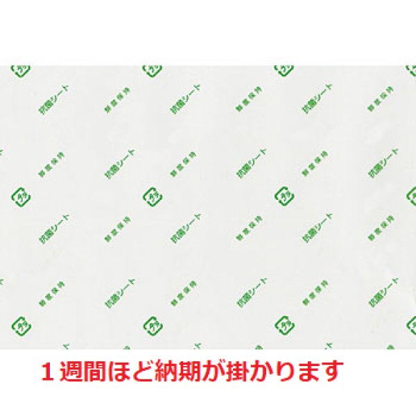 画像1: 抗菌シート　単体　１１０×１６０ｍｍ(100枚入り） (1)